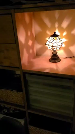 ついに(／▽＼)♪の記事動画