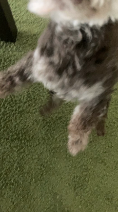 6月のおやすみの記事動画