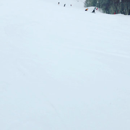 ただいまからの〜の記事動画