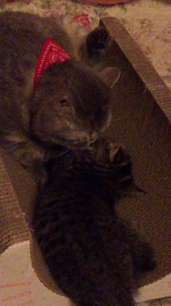 2週間たって。。。の記事動画