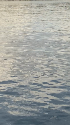 暖かい週末〜♫の記事動画