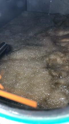 清潔に美しくの記事動画