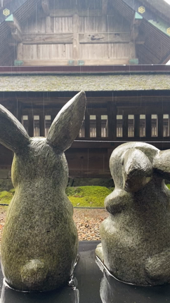 深瀬さんリトリート2日目☆絶対幸せになるって知ってるのですの記事動画