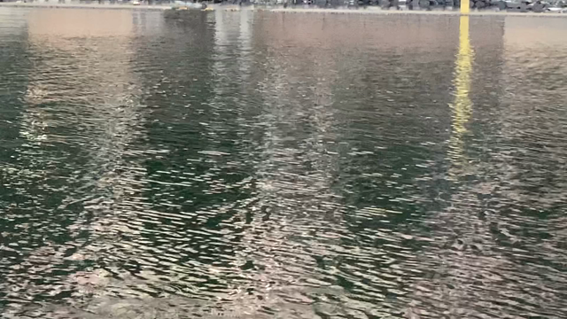 【ギル五反田店】ジェーン・ドー少量入荷です！の記事動画