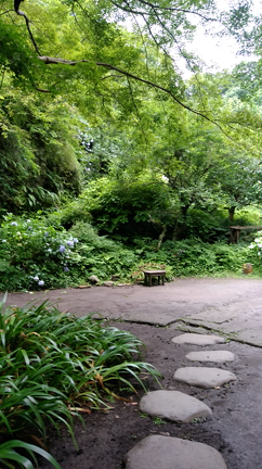 こんな場所でヨガクラスと瞑想クラスしてますの記事動画