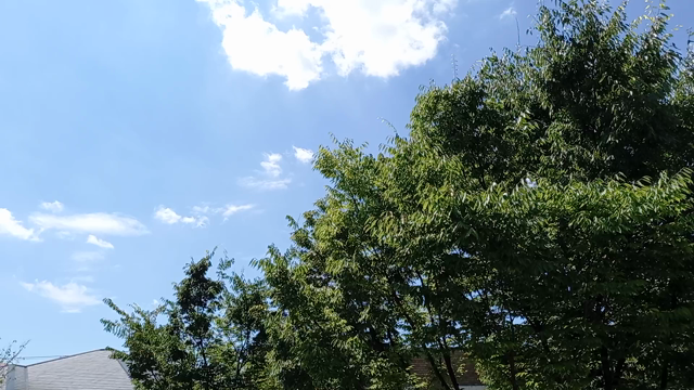 訓練と実際と、、の記事動画