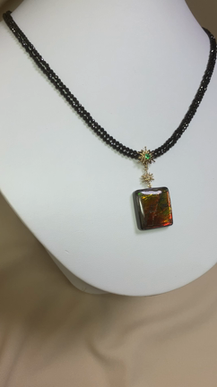 アンモナイトがやがて宝石になるの記事動画