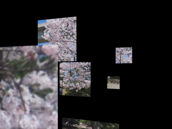 桜イェーイ♡の記事動画