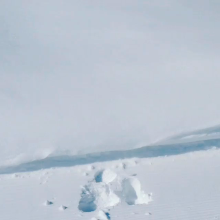 雪満喫〜♬の記事動画
