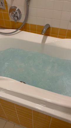 お泊まりディズニー20♡ロビー散策&優雅なバスタイムの記事動画