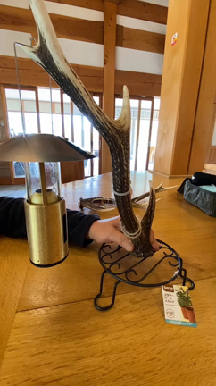 鹿さん絶好調‼️の記事動画