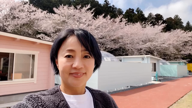 グランピングの記事動画