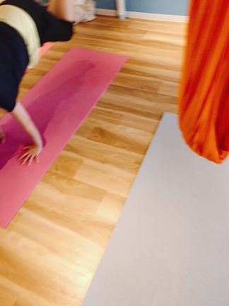 仲間を祝うの記事動画