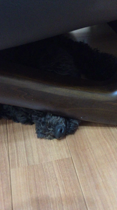 妖怪ベロベロの記事動画