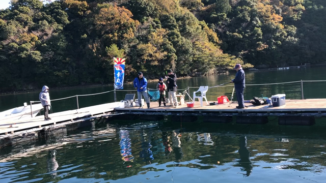 グレ参戦‼️2日連続でクエが3匹ずつ釣れました‼️‼️の記事動画
