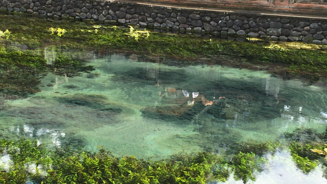 ティルタウンプル寺院の記事動画