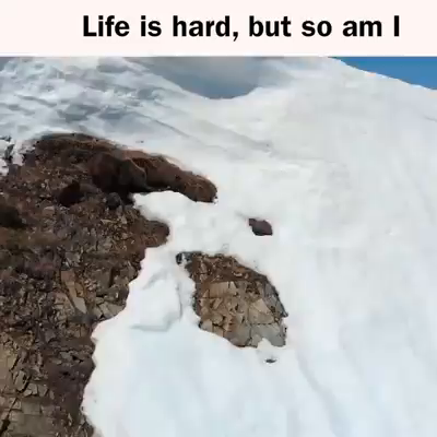 2020/04/19の記事動画