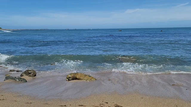 銚子への記事動画