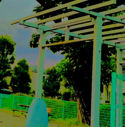 先程(^｡^)の記事動画