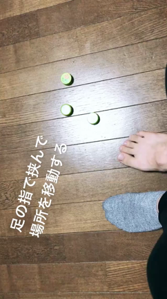 豆知識の記事動画