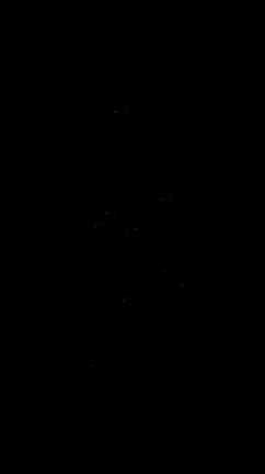 なくさない、すぐ出せる♩クリスマス飾り収納ポイントの記事動画