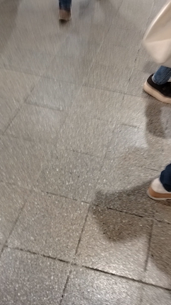 辰馬本家酒造行ってきたの記事動画