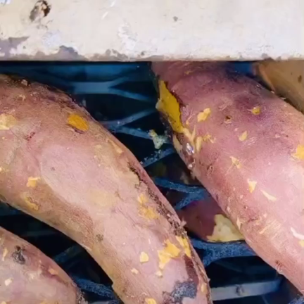 や〜きいも〜の記事動画