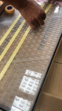 玉ねぎの種まきの記事動画