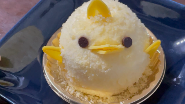 【おさんぽ日記+株主優待】ぴよりんチャレンジ♪＋スターツ出版の株主優待到着の記事動画