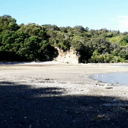 トンガで噴火が発生。ニュージーランドへの影響は？の記事動画