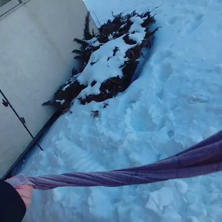 記録的寒波の記事動画