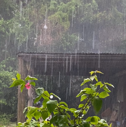 台風11号、接近中！の記事動画