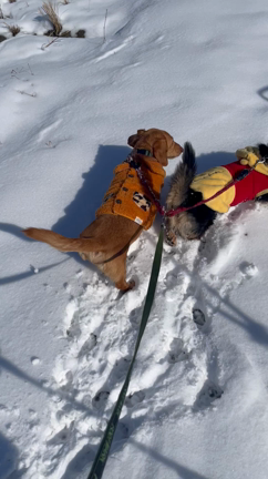 なかよしピアノ2ワークブック修了の記事動画