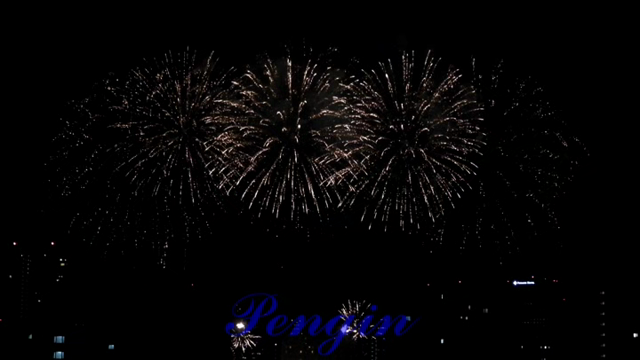 花火大会の記事動画