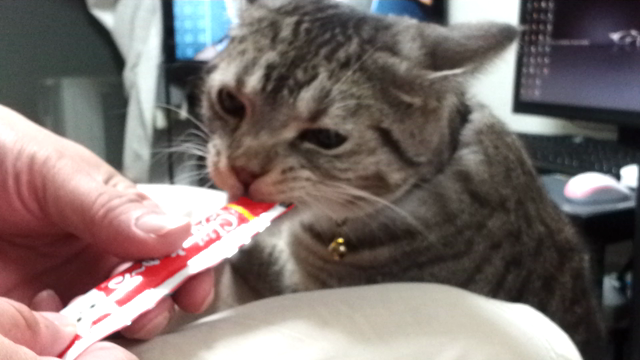 Happy  Birthday!の記事動画