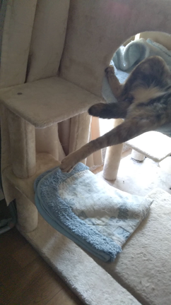 柔らかければ緩んでる？の記事動画