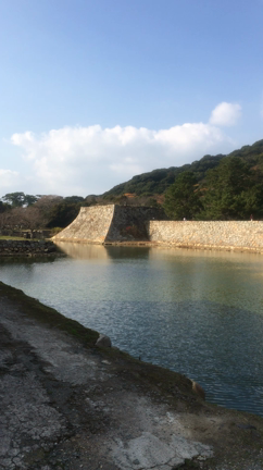 2020帰省、白蛇神社、お不動様、萩の記事動画