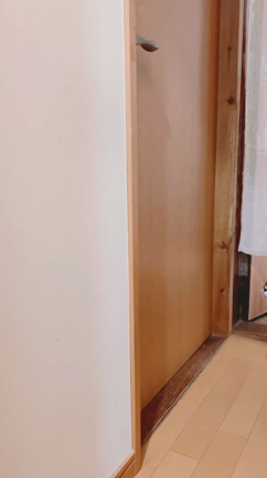 ブーム…なの？の記事動画