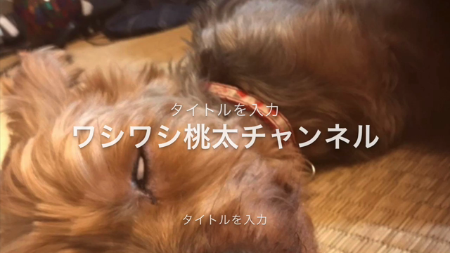 ワシワシ桃太チャンネル②の記事動画