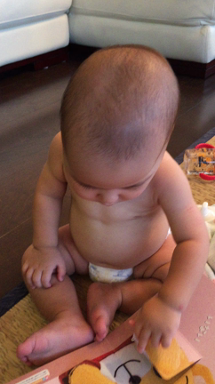 ビデオ。お返事。の記事動画