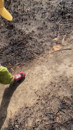 ☆強風過ぎた平尾台トレッキング☆の記事動画