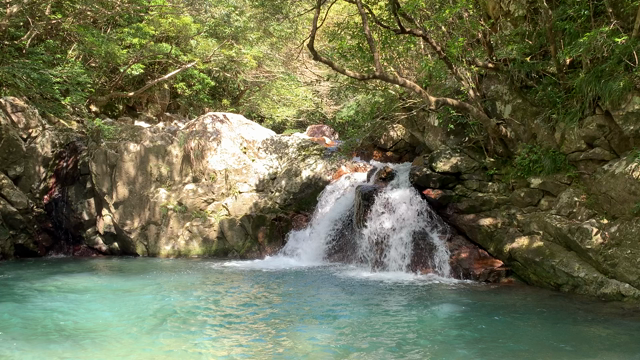 奄美編４　海と森の記事動画