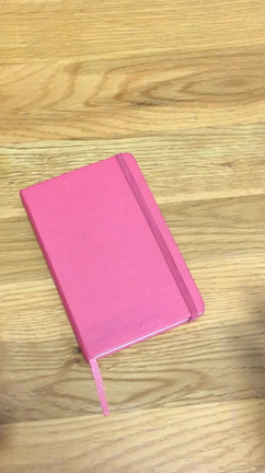 海外旅行に持っていった手帳3冊の記事動画