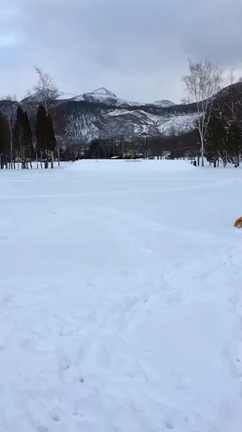 初雪遊びの記事動画