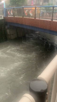 散歩の景色の表情。の記事動画