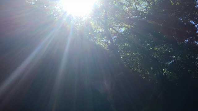 パワースポットの記事動画