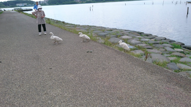 言葉の重みの記事動画