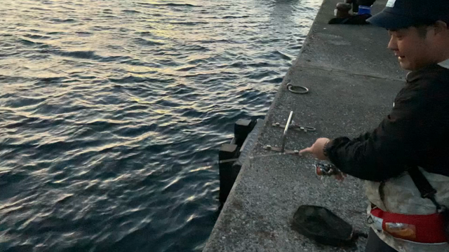 Shoots TWITCH S50UL で デカアジ‼️ | ま〜の釣りing 〜長崎釣りログ〜