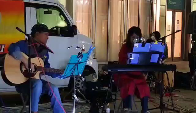 ハナミズキの記事動画