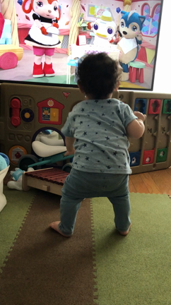 1歳の記録の記事動画